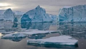 How Can Conservationists Mitigate The Effects Of Climate Change On Arctic Wolves