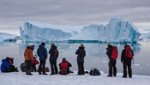 What Are The Potential Impacts Of Arctic Tourism On Wolf Populations
