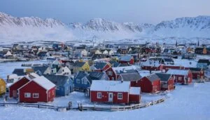 What Role Do Arctic Wolves Play In The Environmental Stewardship Practices Of Arctic Peoples
