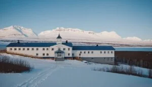 What are some collaborative research projects between scientists and schools on Arctic wolves